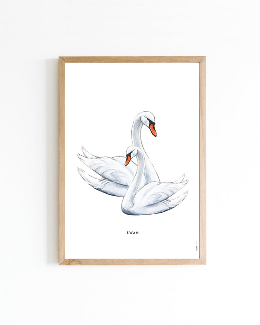 Poster Zwaan 15x20cm
