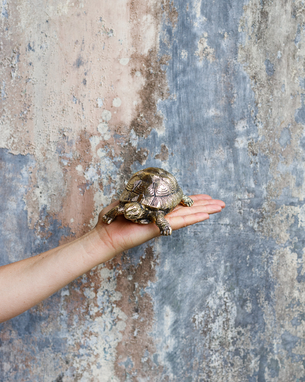 Messing Schildpad Beeld