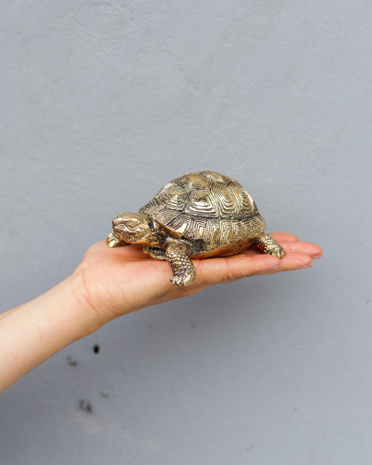 Messing Schildpad Beeld