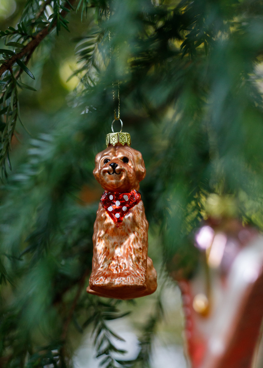 Kerstbal Labradoodle