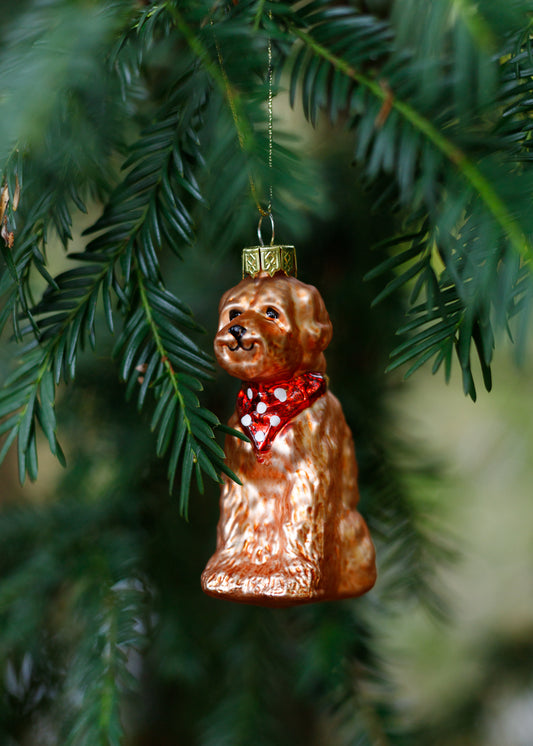Kerstbal Labradoodle