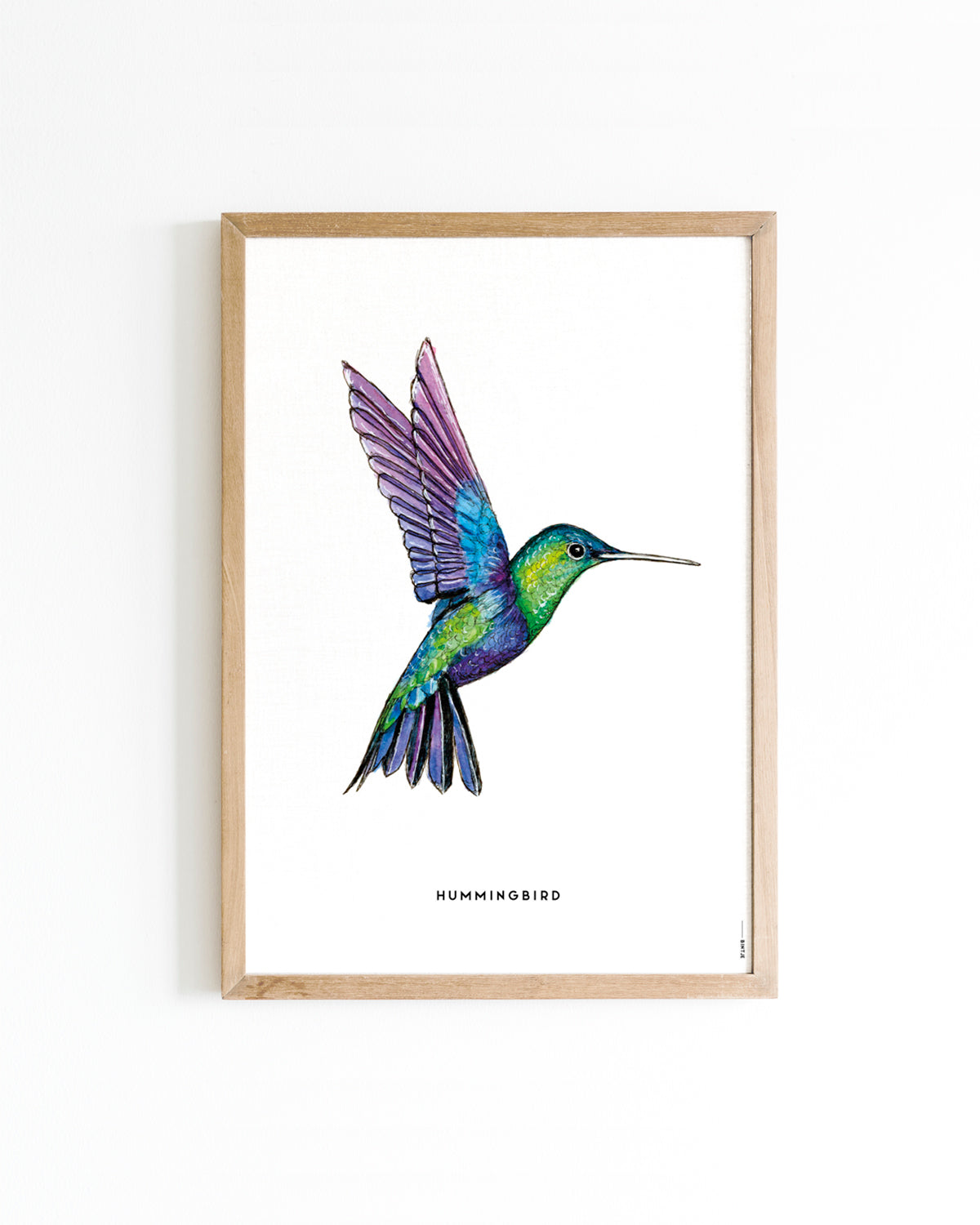 Poster Kolibrie A4