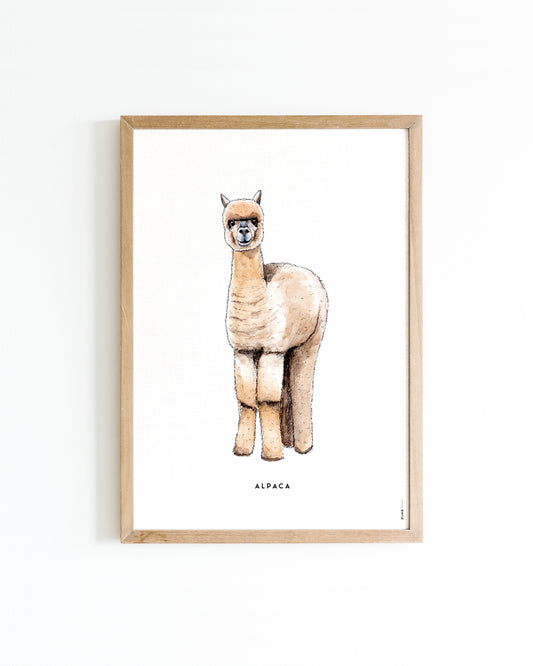 Poster Alpaca A4
