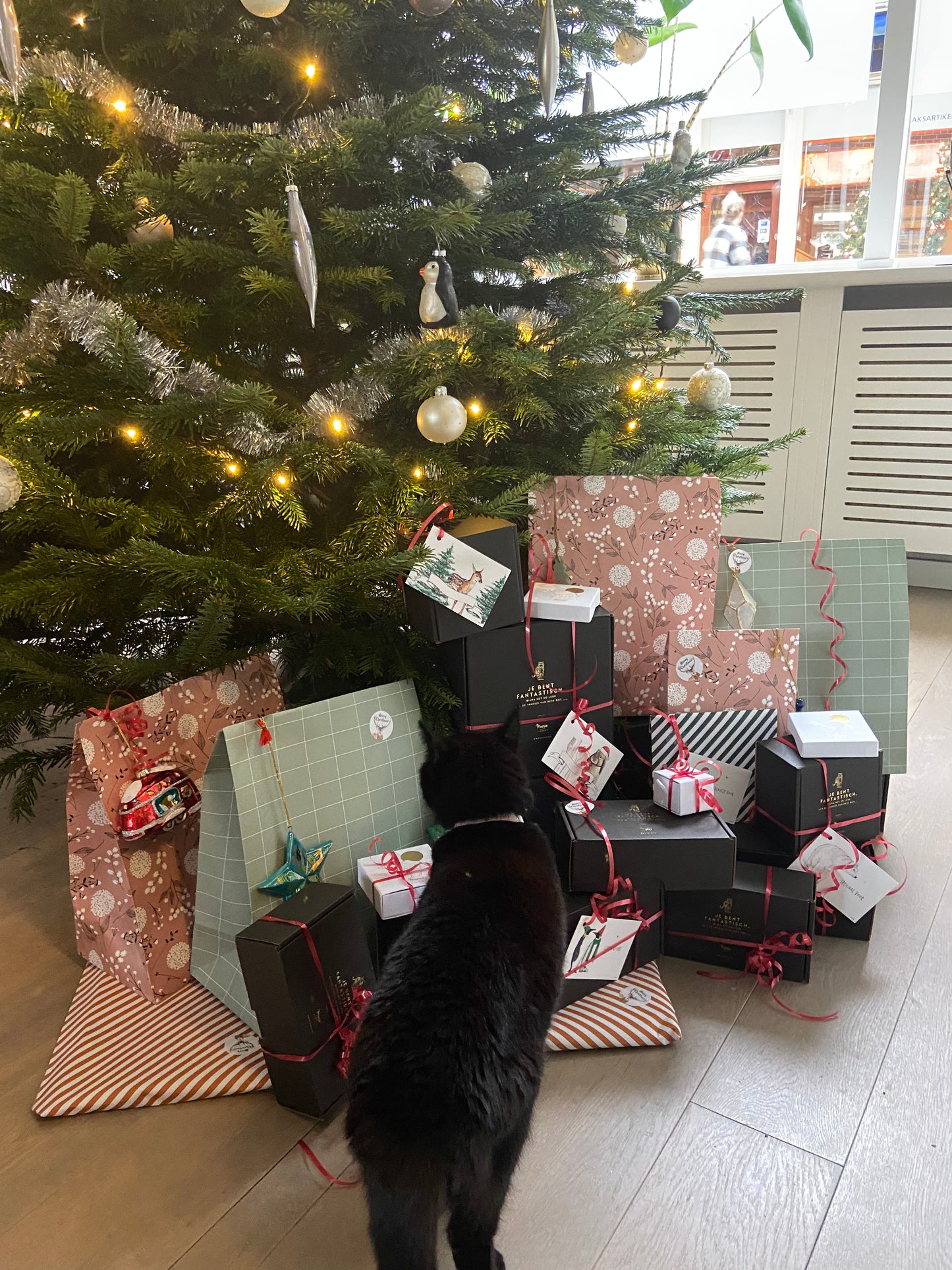 Advent Kalender van Meesie