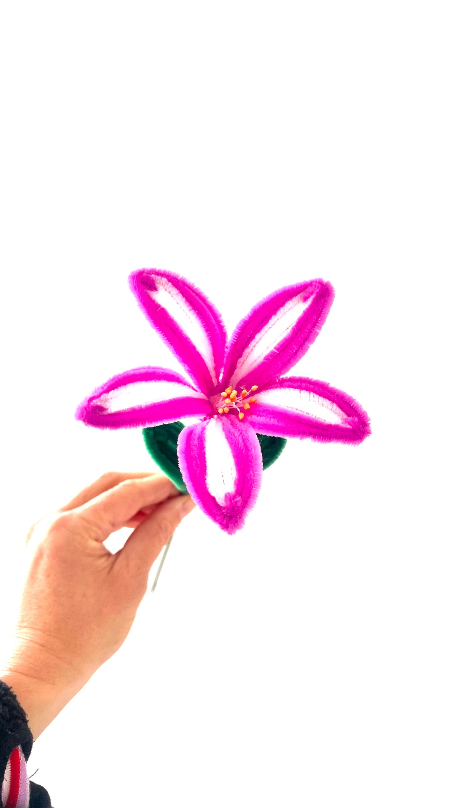 Bloemetje