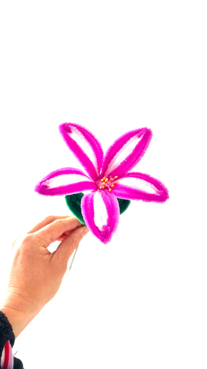 Bloemetje