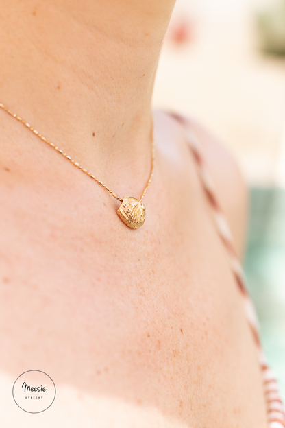 Ketting Schelp