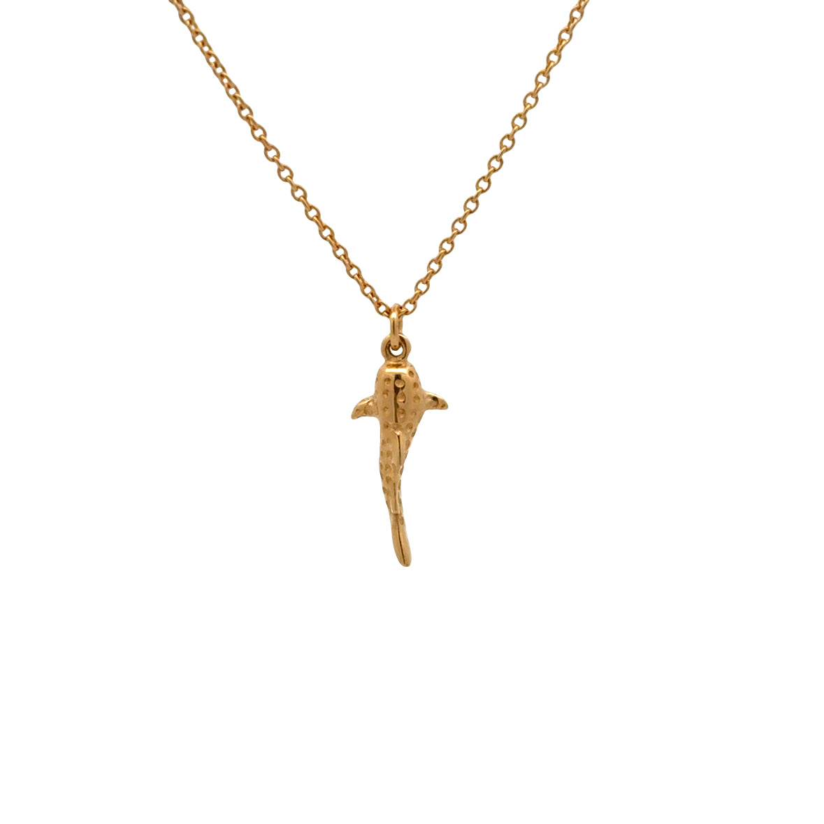 Ketting Walvishaai