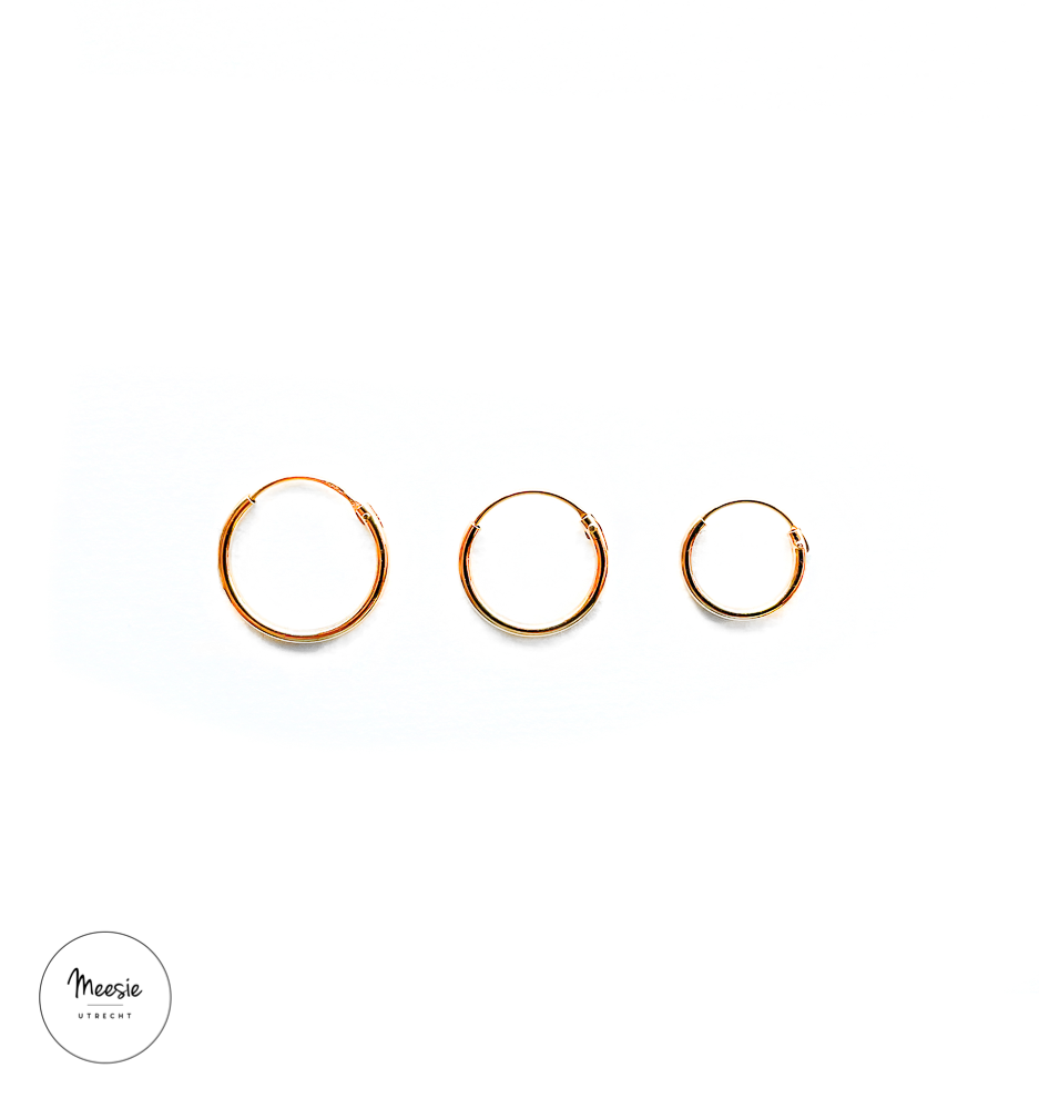 Basic Oorringen Goud op Zilver