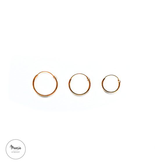 Basic Oorringen Goud op Zilver