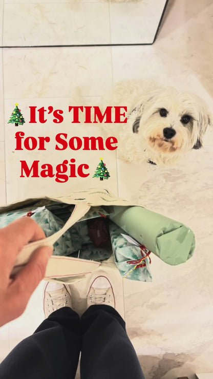 Advent Kalender van Meesie