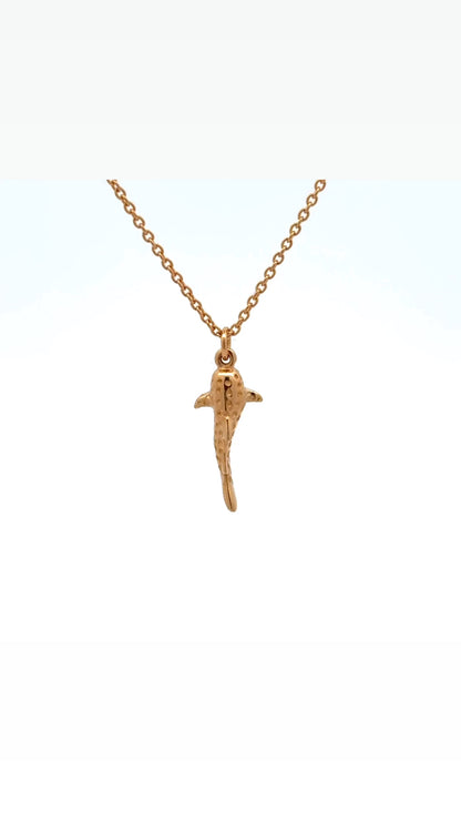 Ketting Walvishaai
