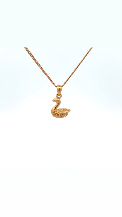 Ketting Zwaan