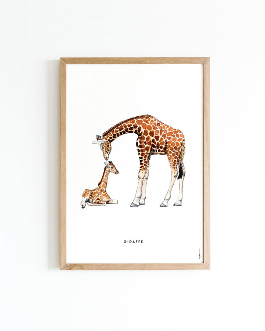 Poster Giraf familie