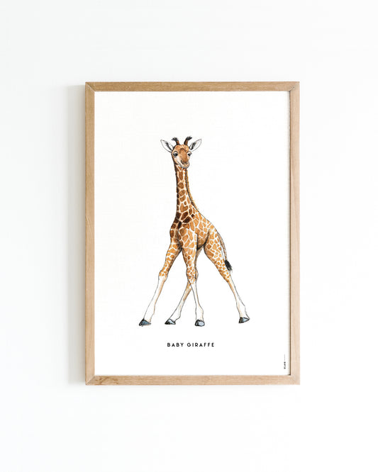 Poster Baby Giraf