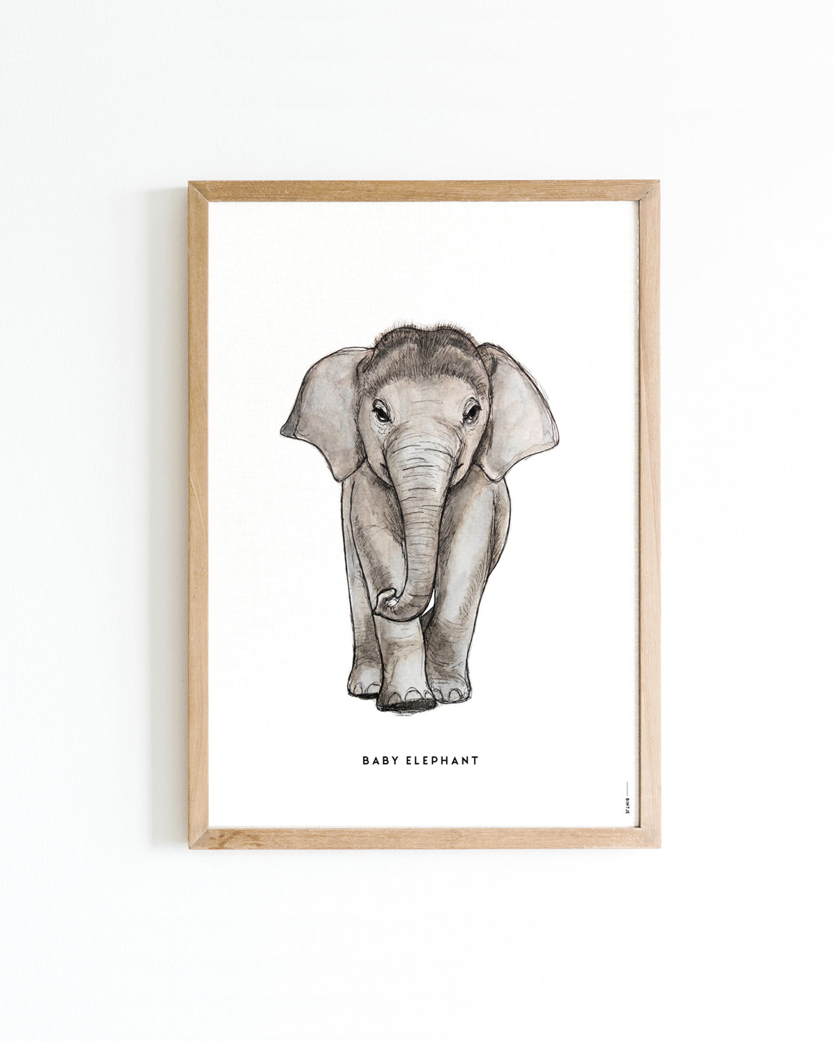 Poster Baby Olifant