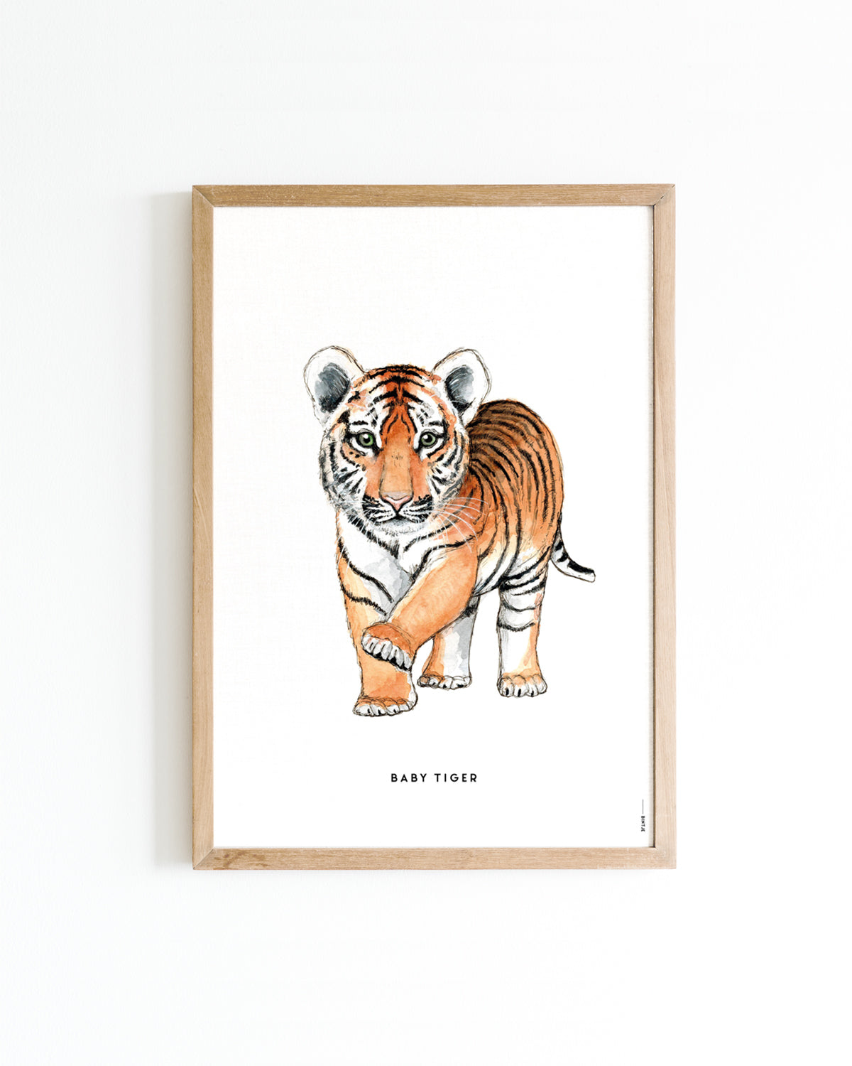 Poster Baby Tijger A4