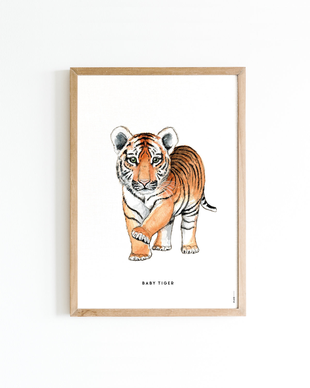 Poster Baby Tijger