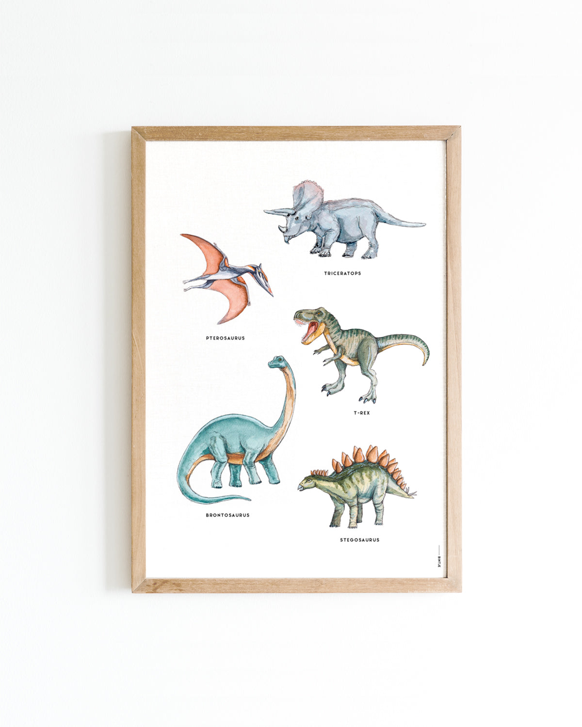 Poster Dino's 1. A4