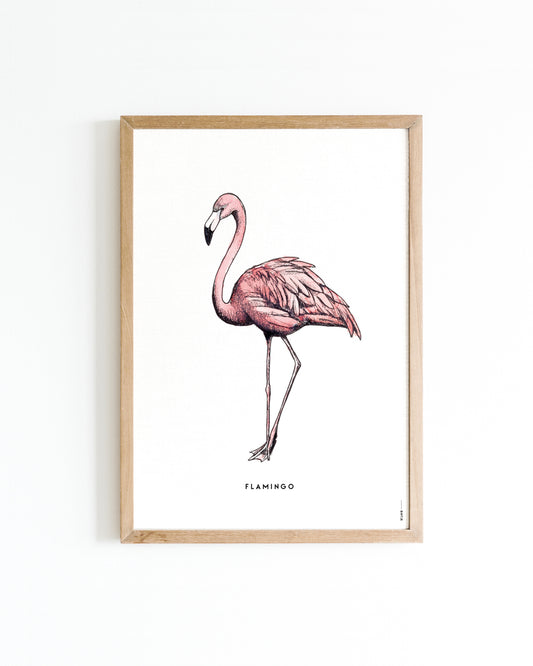 Poster Flamingo
