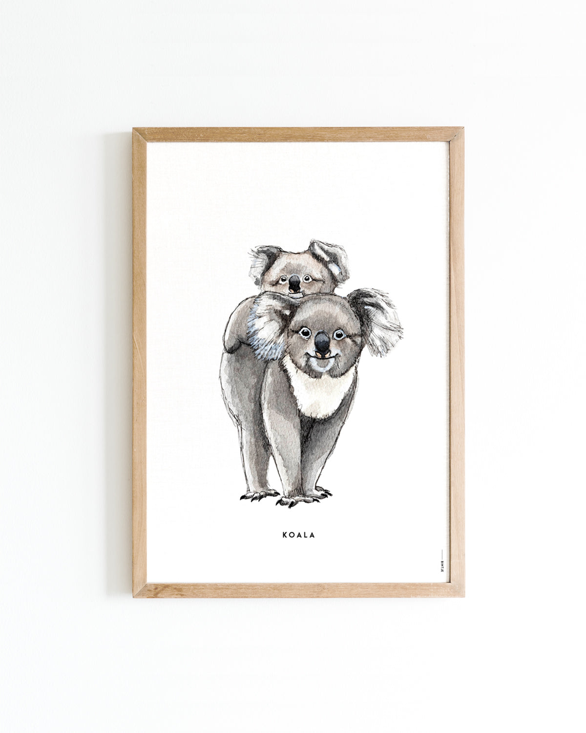 Poster Koala's