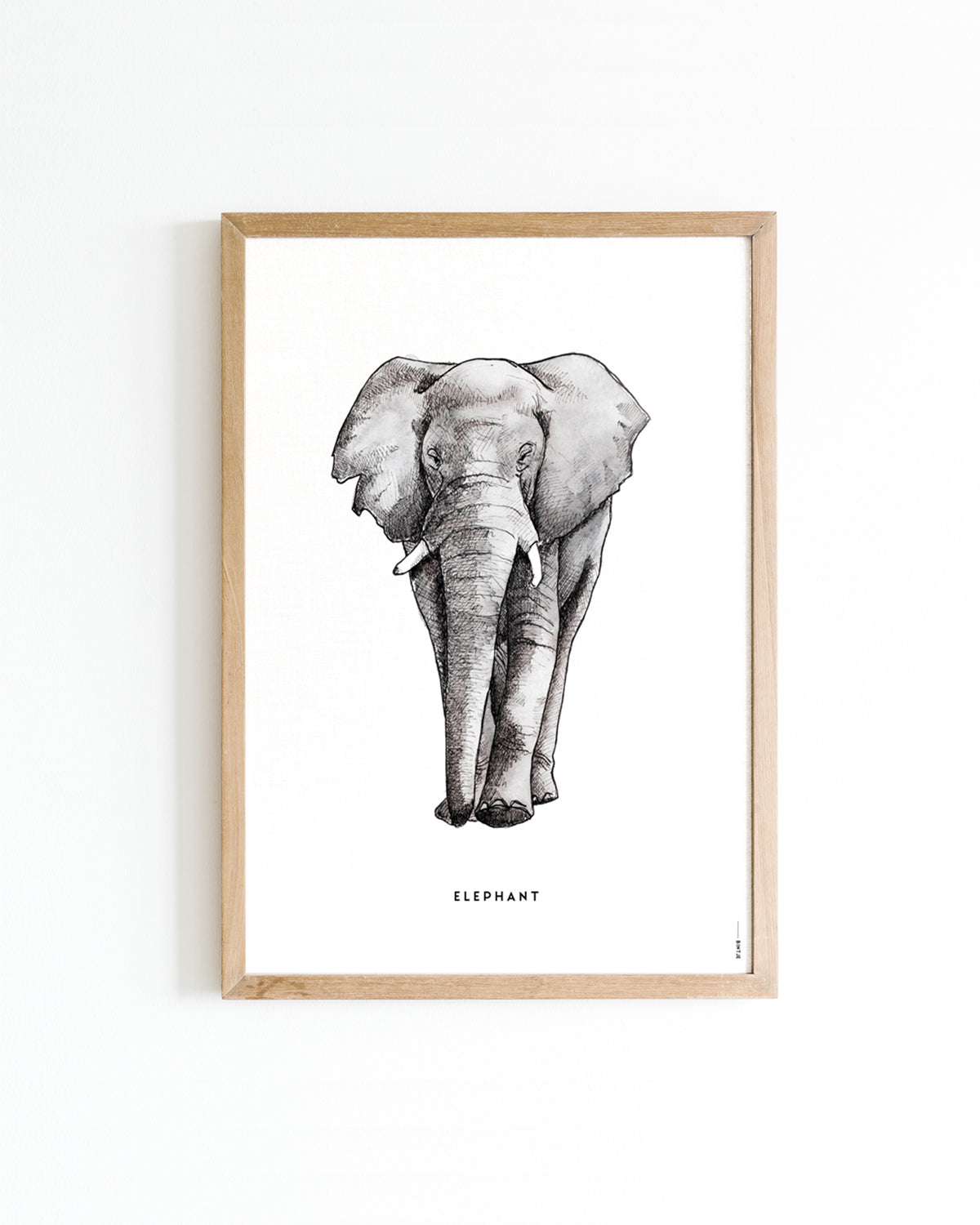 Poster Olifant