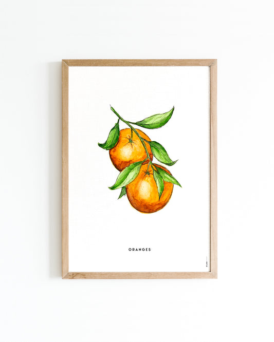 Poster Oranges A4