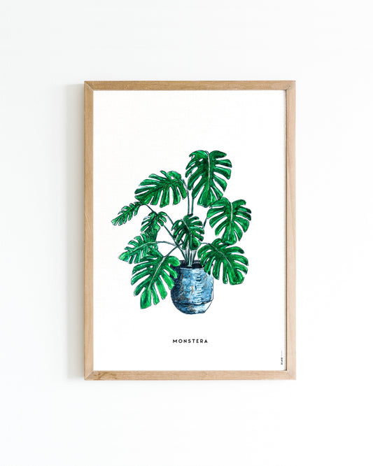 Poster Plant Monstera A4