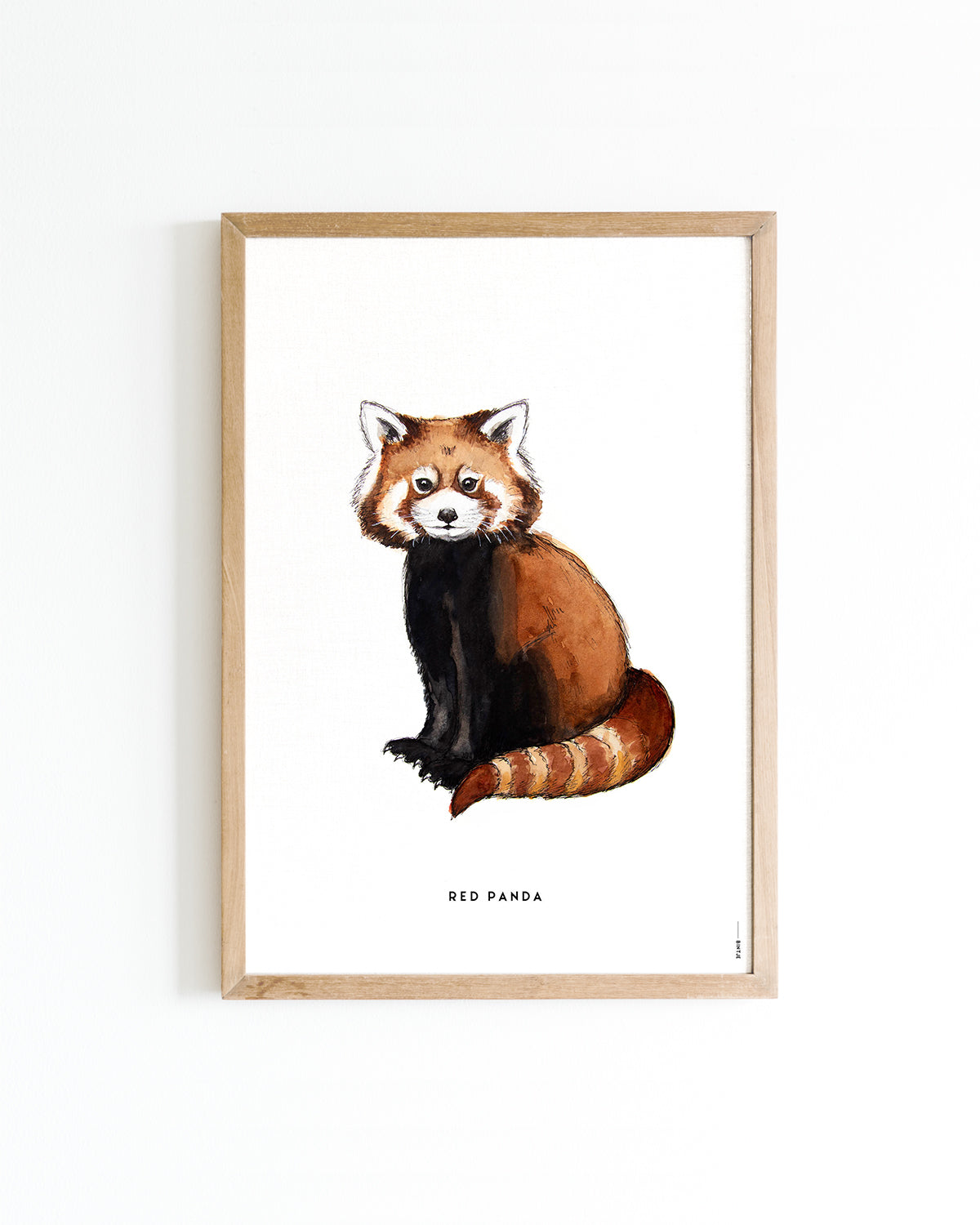 Poster Rode panda A4